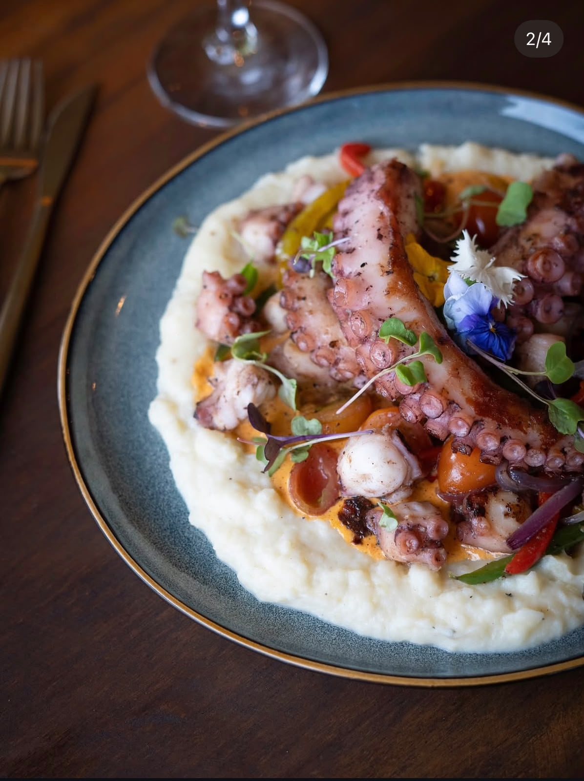 Octopus special